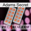 Adams Secret 27